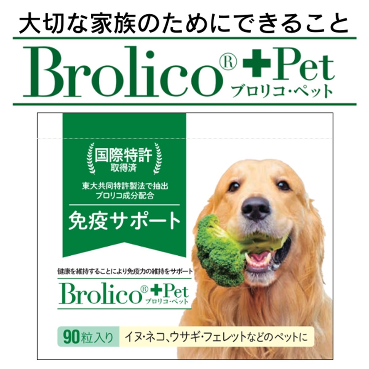 BPT090JPCP0402S_sub01_LL.jpg